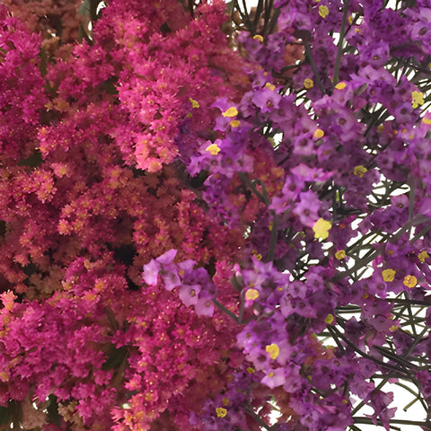 Wispy Filler Pink Purple DIY Flower Kit Up Close