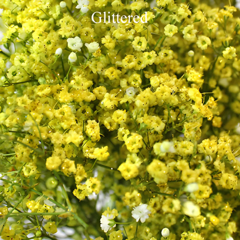 Yellow Airbrushed Baby's Breath Flower