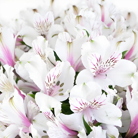 Alstroemeria Spiral Valentines Flower Arrangement - Image