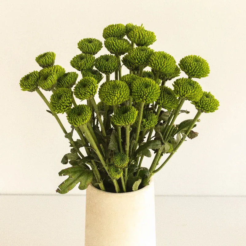 Yoko Ono Mini Button Pom Green Flower