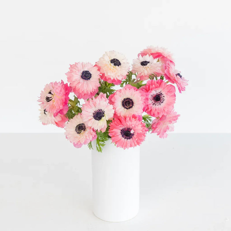 Light Pink Levante Anemones Vase - Image