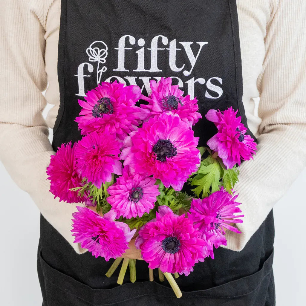 Buy Wholesale Fuschia Levante Anemone in Bulk - FiftyFlowers