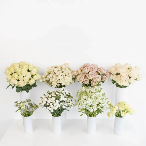 Alpine Oat Diy Flower Kit Stem - Image