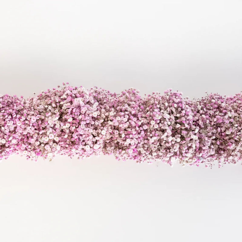 Light Pink Baby's Breath Garland Stem - Image