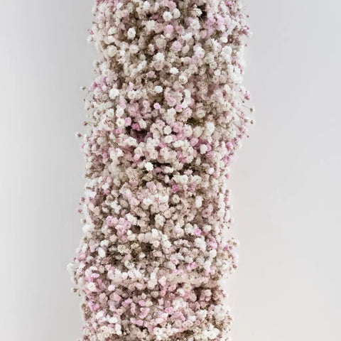 Tint Angel Pink Babys Breath Garland Close Up - Image