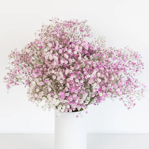 Rainbow Pink Valentine Airbrushed Baby's Breath Flower Vase - Image