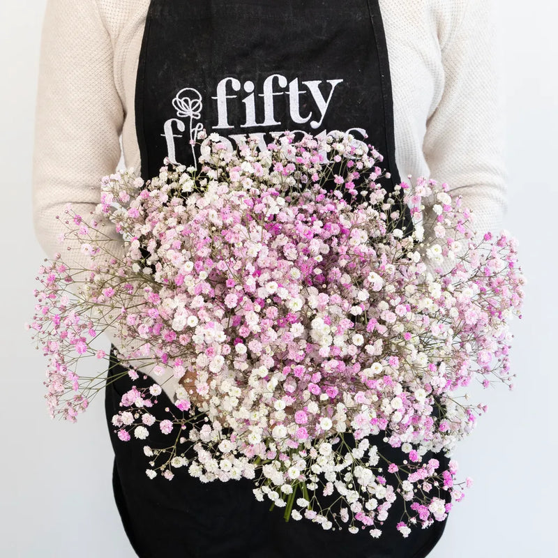 Rainbow Pink Valentine Airbrushed Baby's Breath Flower Apron - Image