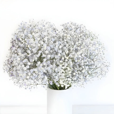 Light Lavender Airbrushed Babys Breath Flower Vase - Image