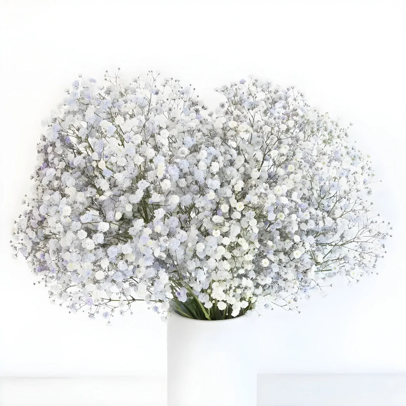 Light Lavender Airbrushed Babys Breath Flower Vase - Image