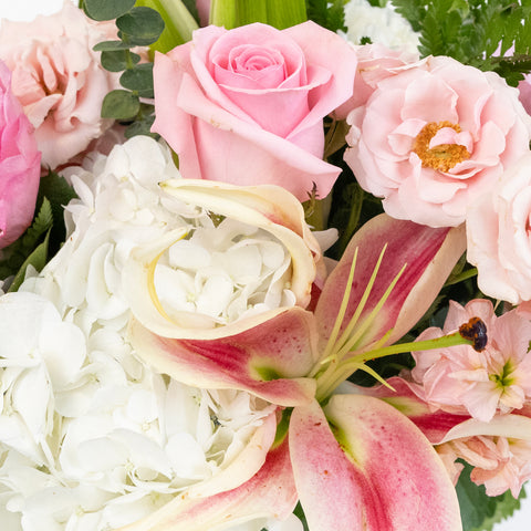 Blush Bulk Diy Flower Kit Close Up - Image