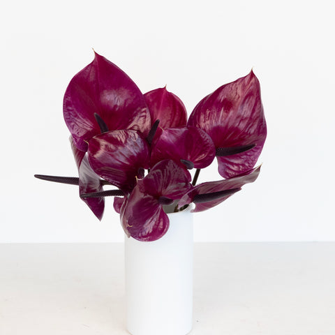 Plum Purple Anthurium Flower Vase - Image