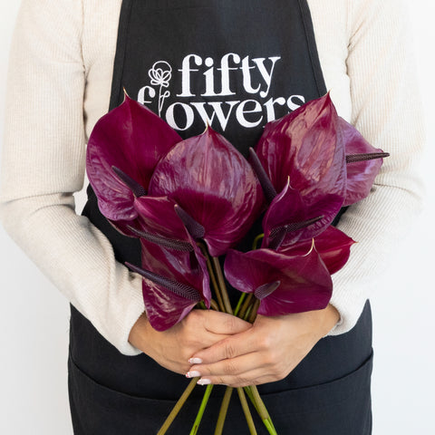 Plum Purple Anthurium Flower Apron - Image