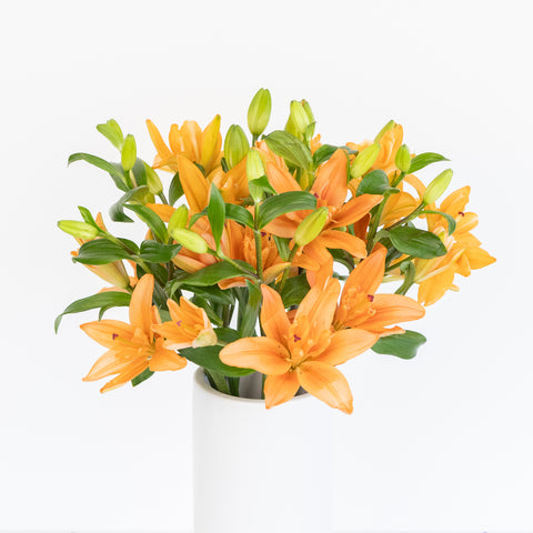 Coral Butterfly Lily Flower Vase - Image