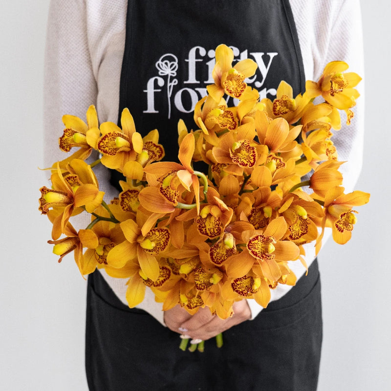 Mini Cymbidium Amber Orange Stem - Image