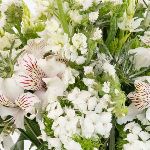 White Blooming Flower Bouquet Stem - Image