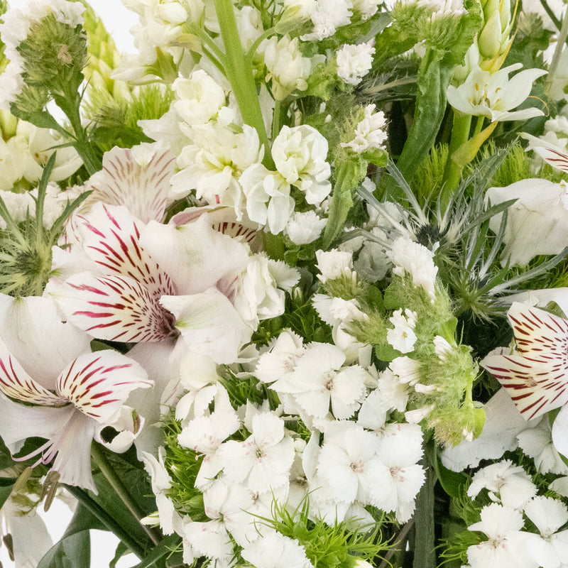 White Blooming Flower Bouquet Stem - Image