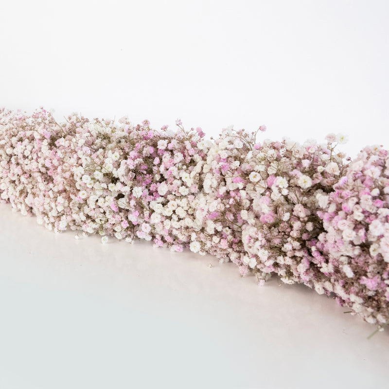 Angel Pink Baby's Breath Garland Other - Image