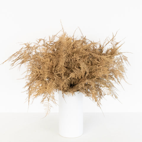 Gold Enhanced Plumosa Fern Greenery Vase - Image