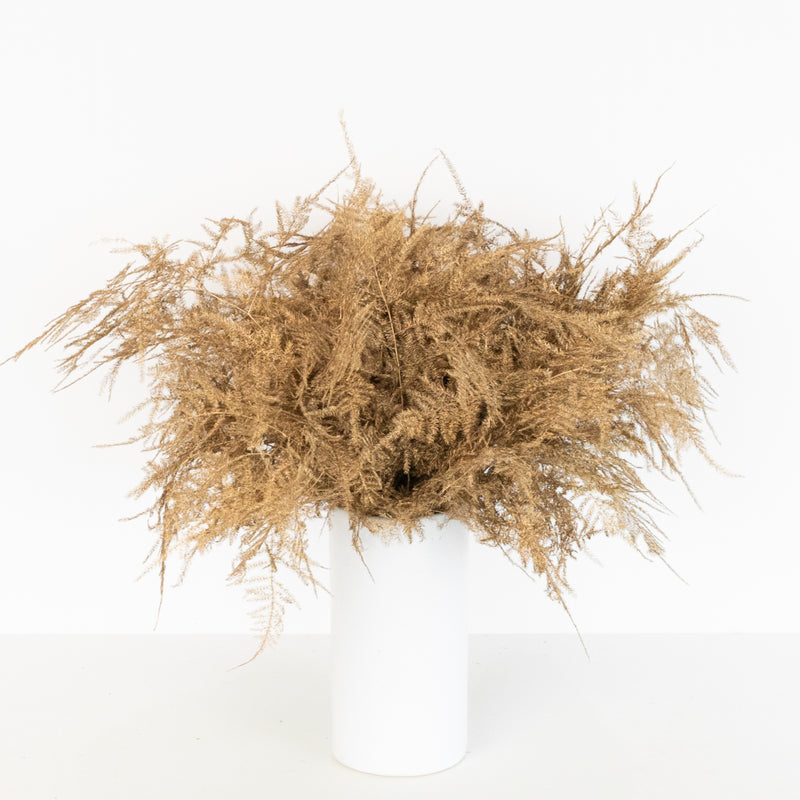 Gold Enhanced Plumosa Fern Greenery Vase - Image