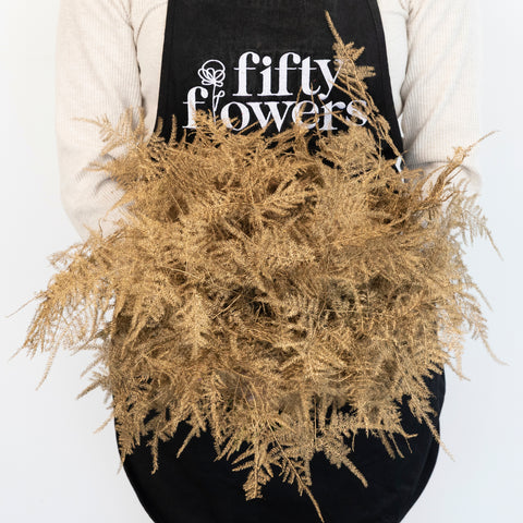 Gold Enhanced Plumosa Fern Greenery Apron - Image