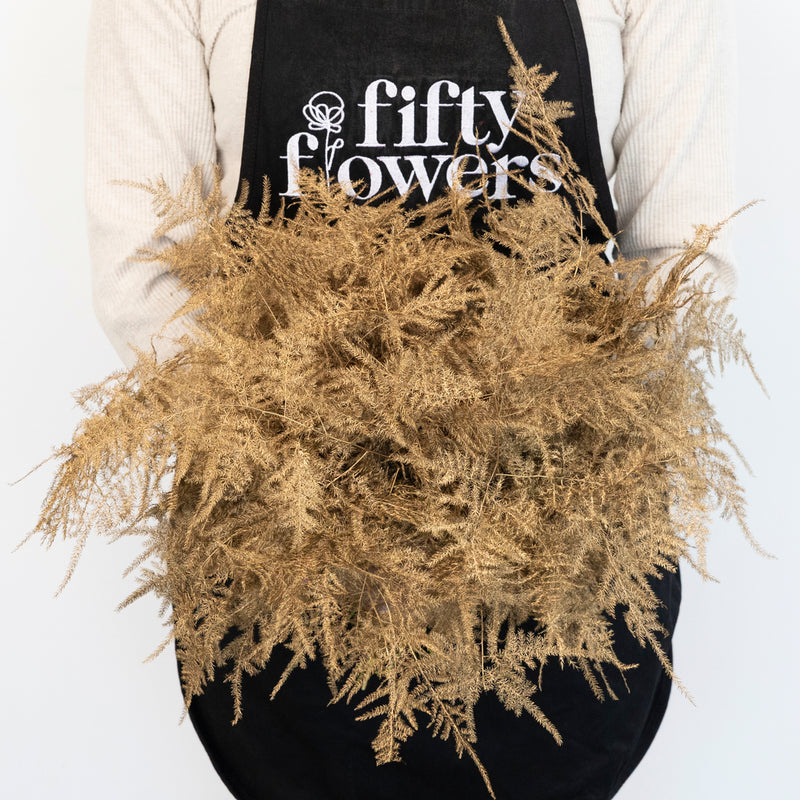 Gold Enhanced Plumosa Fern Greenery Apron - Image