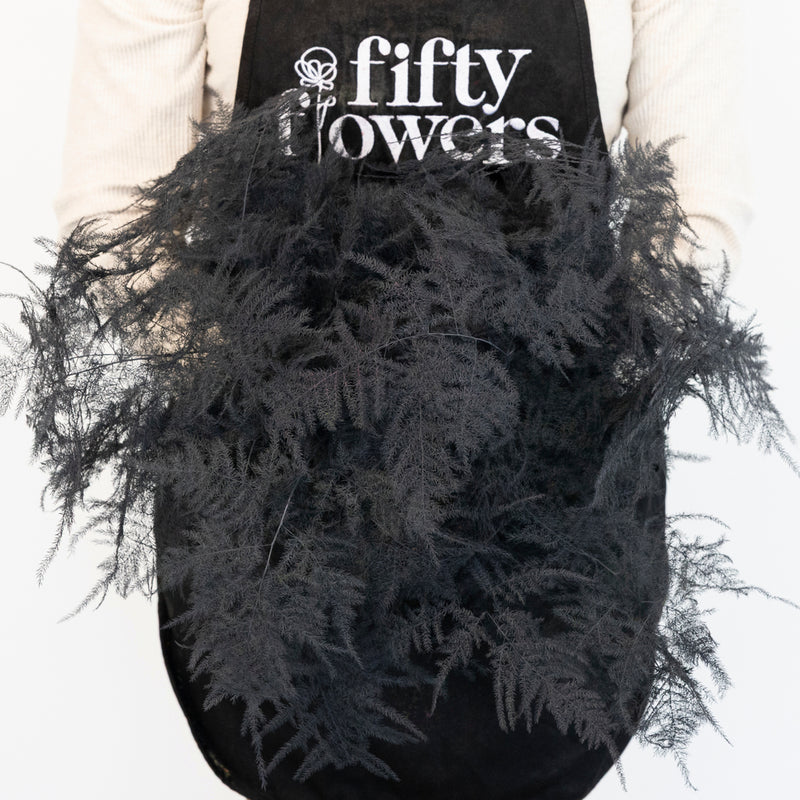 Black Enhanced Plumosa Fern Greenery Apron - Image