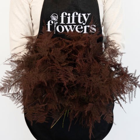 Brown Enhanced Plumosa Fern Greenery Apron - Image