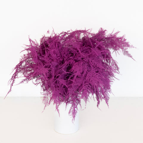 Cerise Enhanced Plumosa Fern Greenery Vase - Image