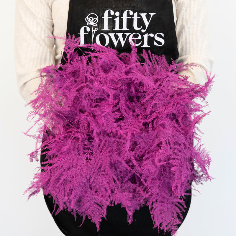 Cerise Enhanced Plumosa Fern Greenery Apron - Image