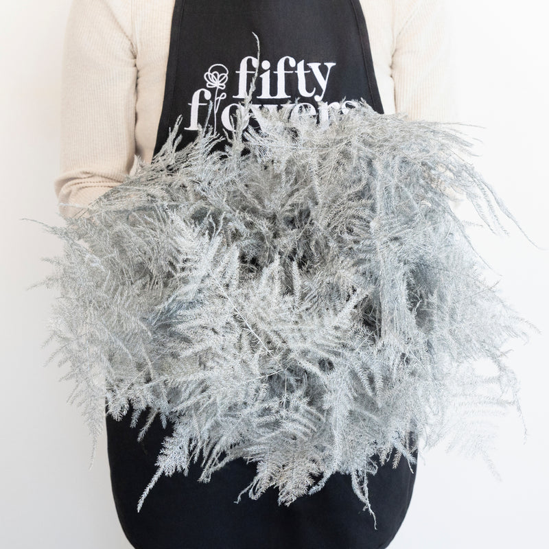 Silver Enhanced Plumosa Fern Greenery Apron - Image