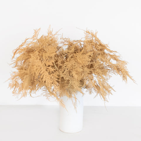 Peach Enhanced Plumosa Fern Greenery Vase - Image