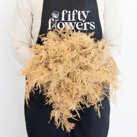 Peach Enhanced Plumosa Fern Greenery Apron - Image