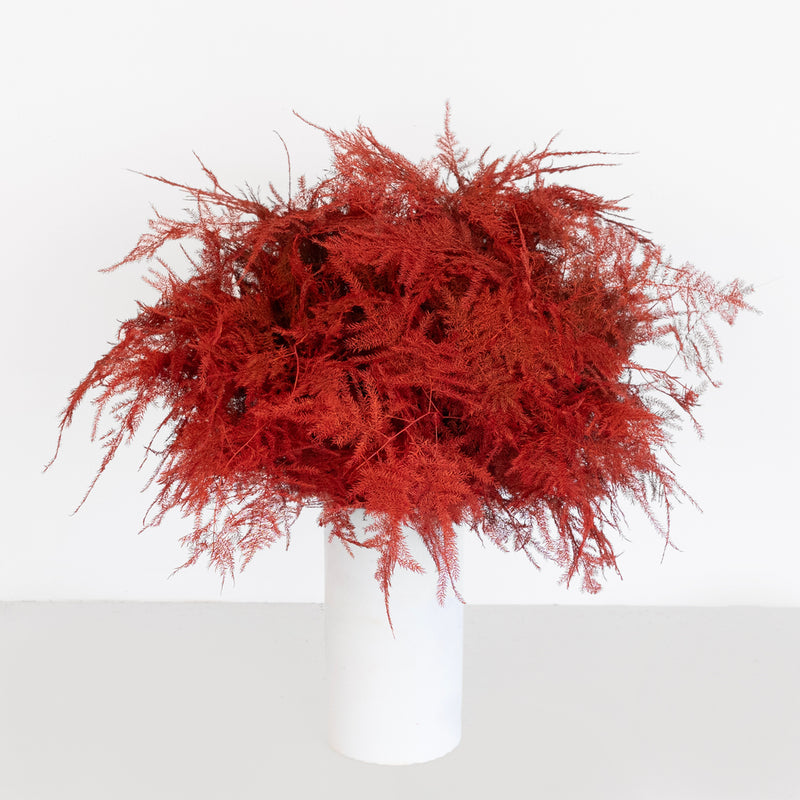 Red Enhanced Plumosa Fern Greenery Vase - Image