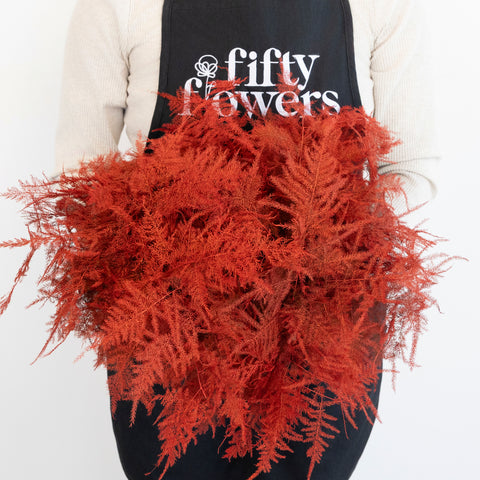 Red Enhanced Plumosa Fern Greenery Apron - Image
