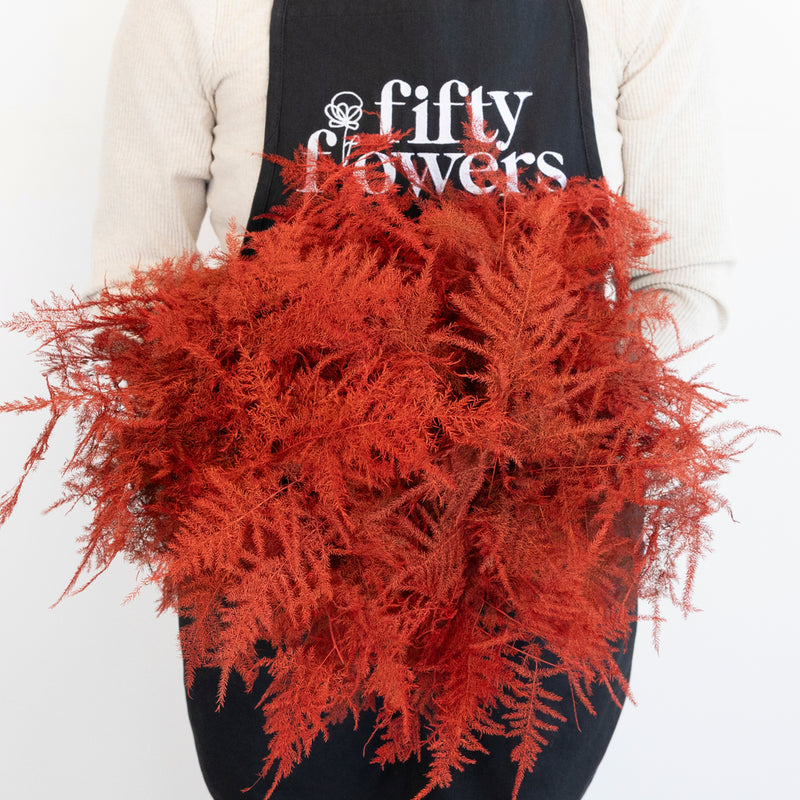 Red Enhanced Plumosa Fern Greenery Apron - Image