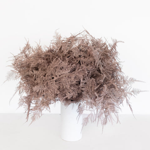 Rose Gold Enhanced Plumosa Fern Greenery Vase - Image