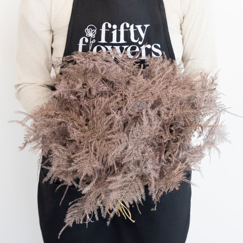 Rose Gold Enhanced Plumosa Fern Greenery Apron - Image