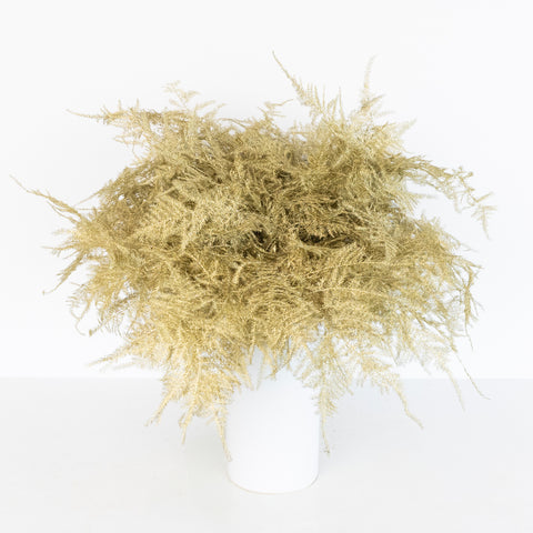 Antique Gold Enhanced Plumosa Fern Greenery Vase - Image