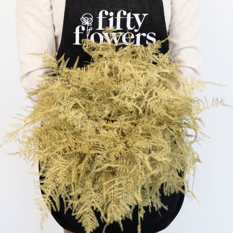 Antique Gold Enhanced Plumosa Fern Greenery Apron - Image