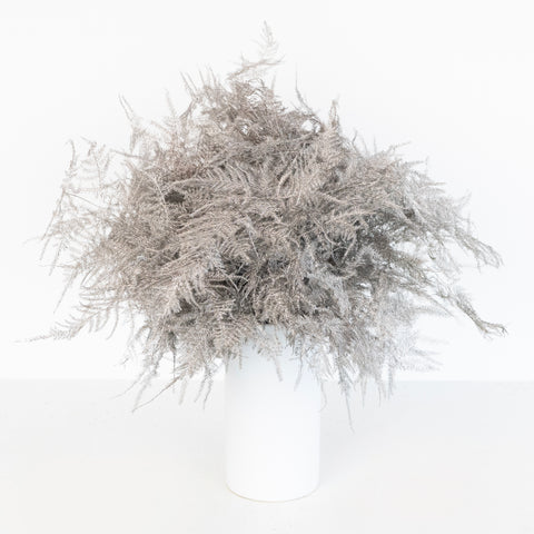 Grey Enhanced Plumosa Fern Greenery Vase - Image