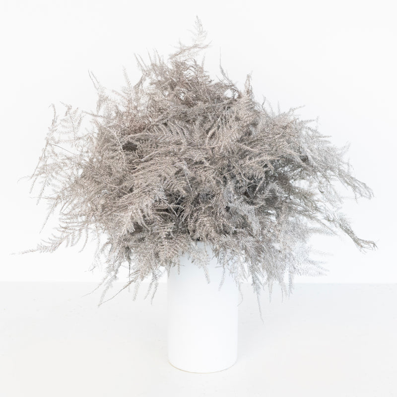 Grey Enhanced Plumosa Fern Greenery Vase - Image