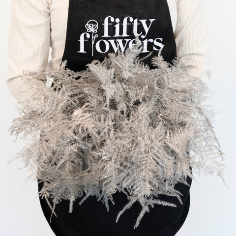 Grey Enhanced Plumosa Fern Greenery Apron - Image