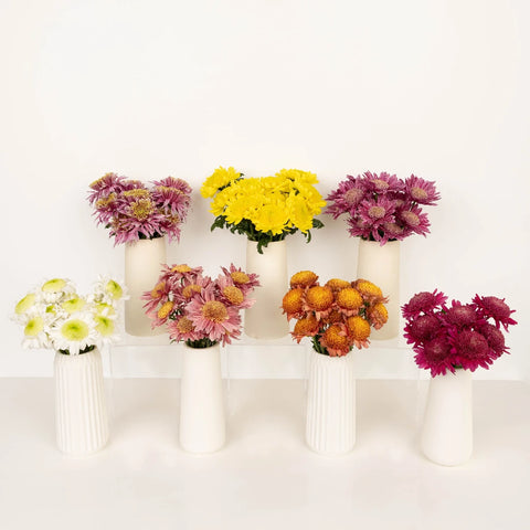 Gerbera Multi Color Farm Mix Stem - Image