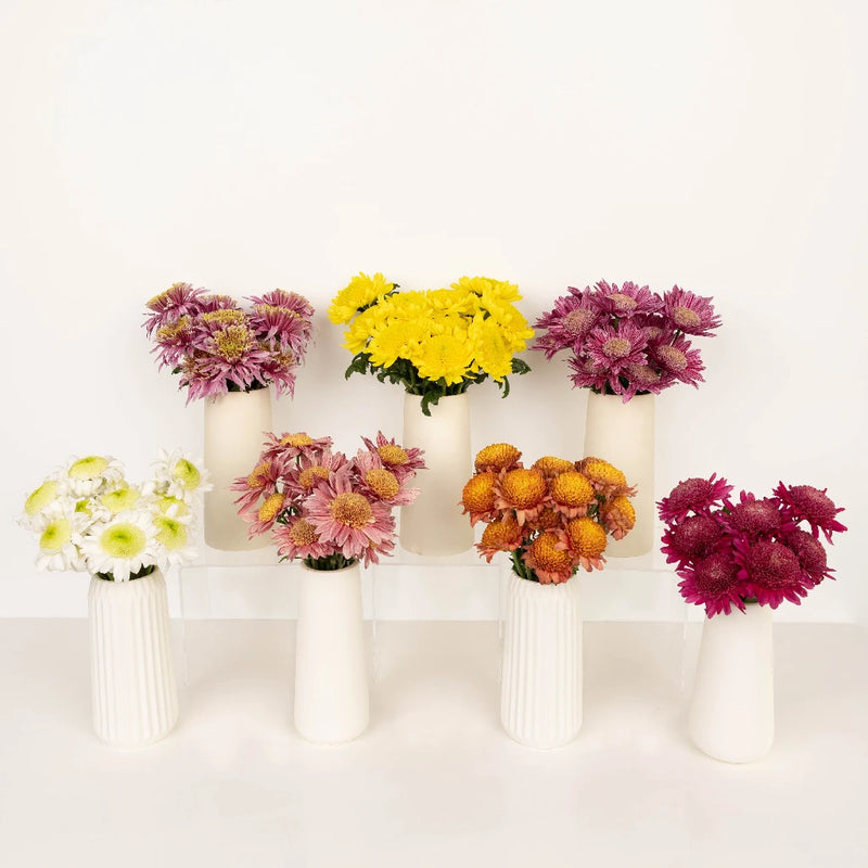 Gerbera Multi Color Farm Mix Stem - Image