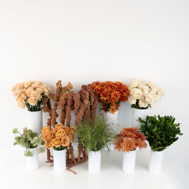 Bronze Beauty Diy Flower Kit Close Up - Image