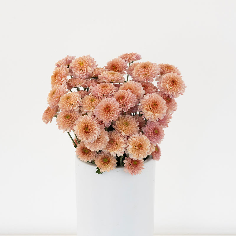 Sasaki & Juicy Vase - Image
