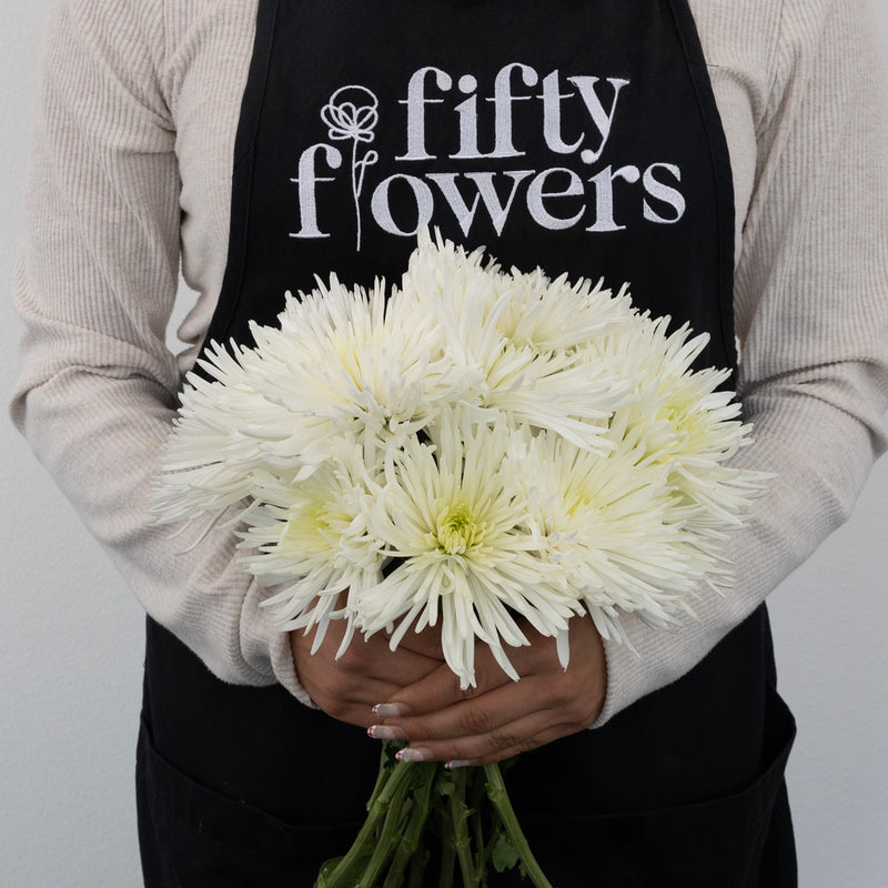 Anastasia White Spider Mum Flowers Apron - Image