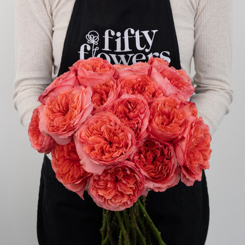 Hues Of Pink Garden Rose Apron - Image