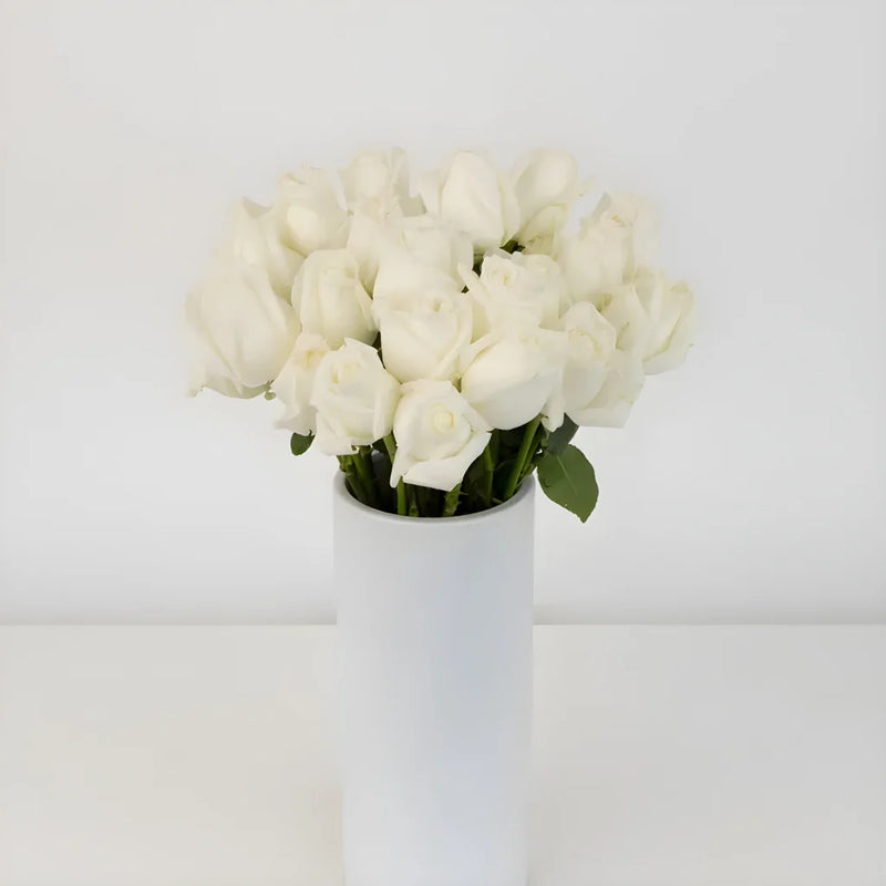 Tundra Creamy White Rose Vase - Image