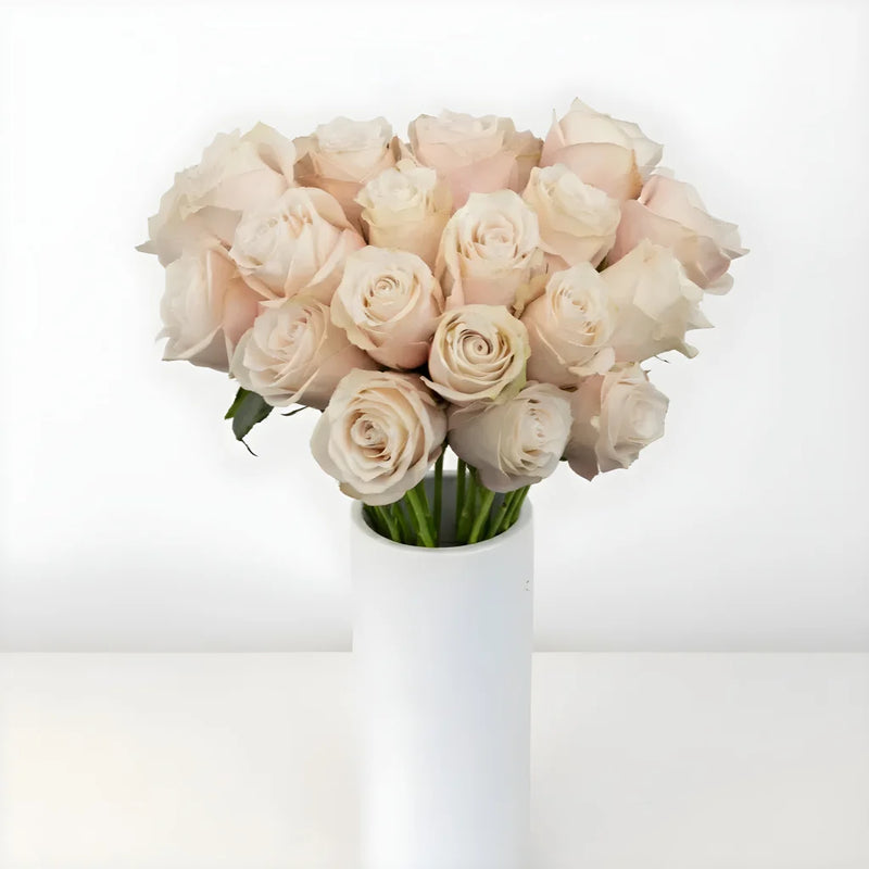 Lady Eva Novelty Rose Vase - Image